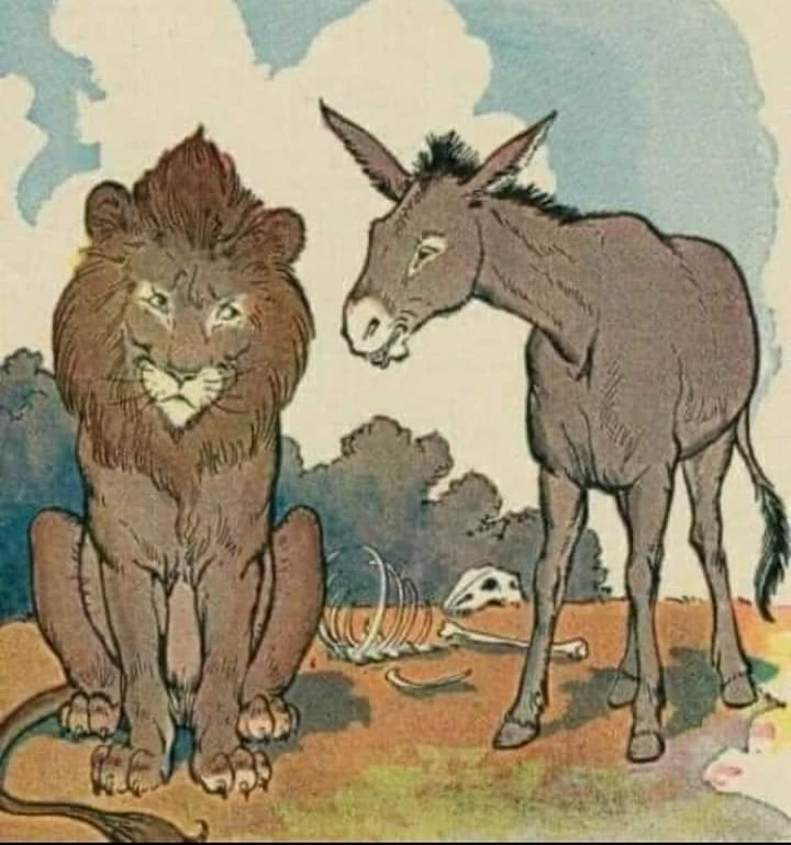 No discutas con burros ...