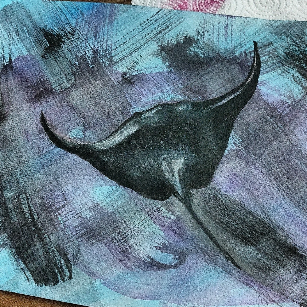 Manta ray