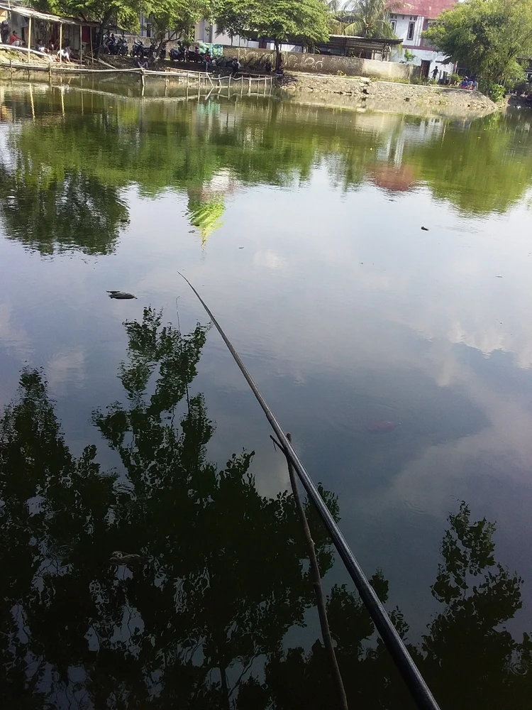 Gambar diunggah oleh Edi