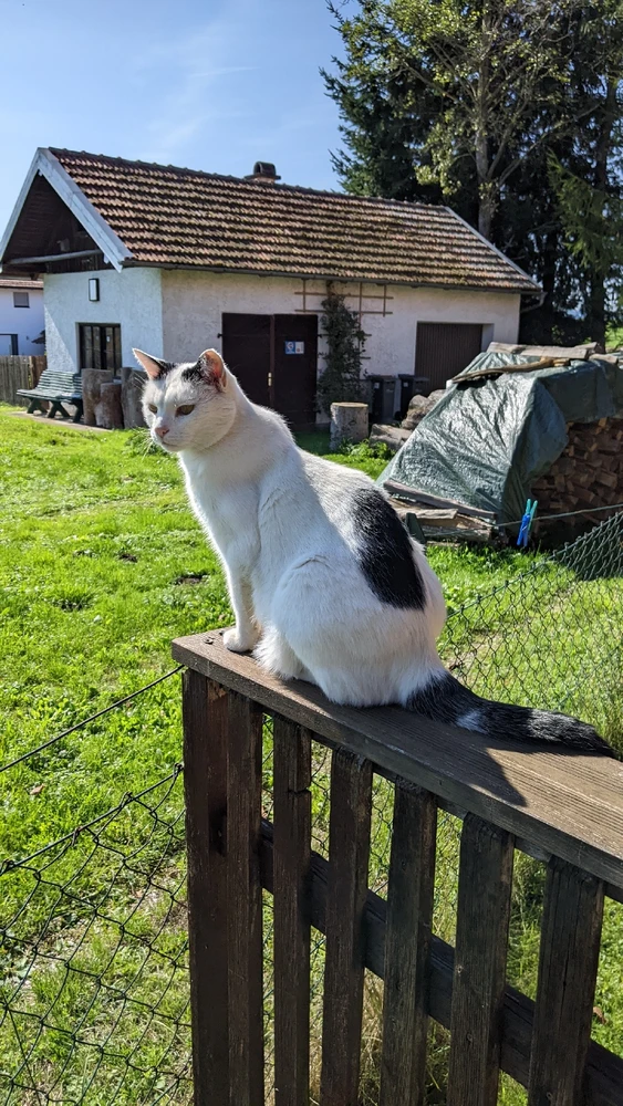 Bild hochgeladen von Lina 🛸