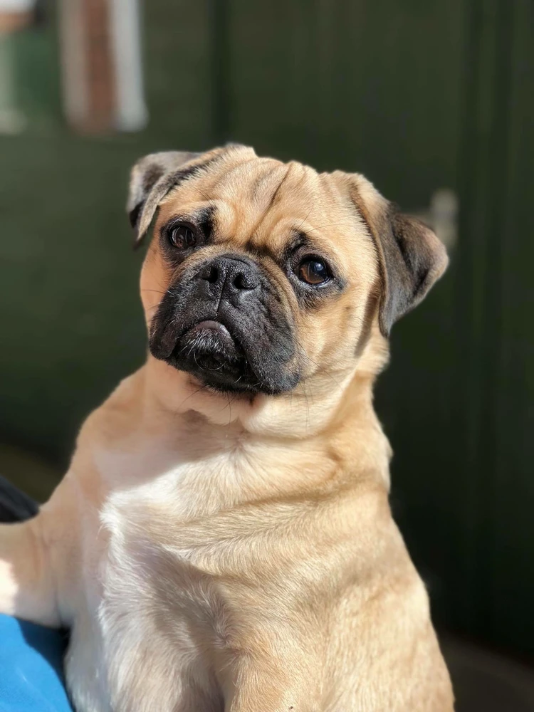 Image uploaded by Robson