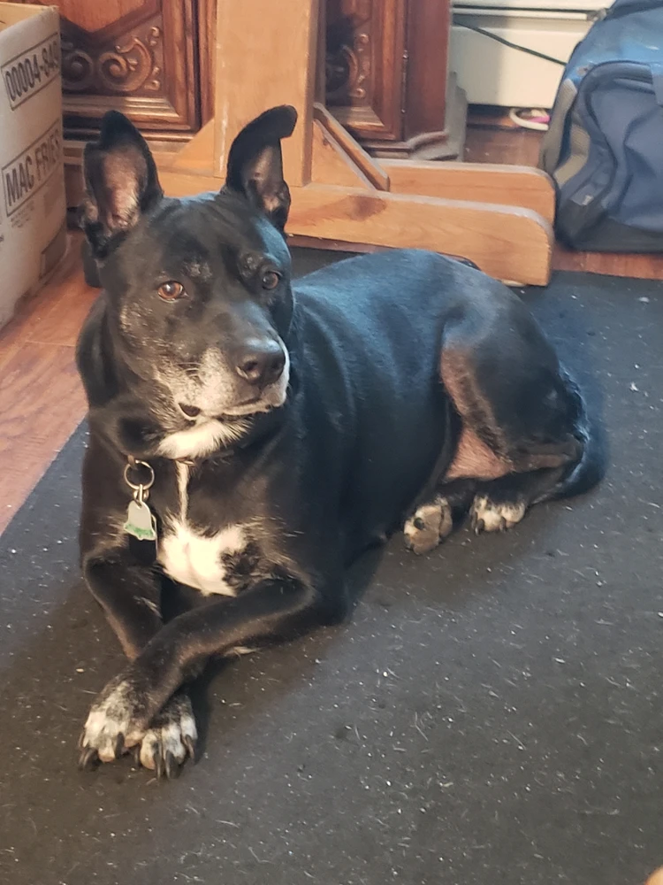 Image uploaded by Michael B