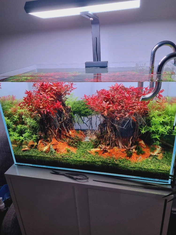 Image ajoutée par Ben