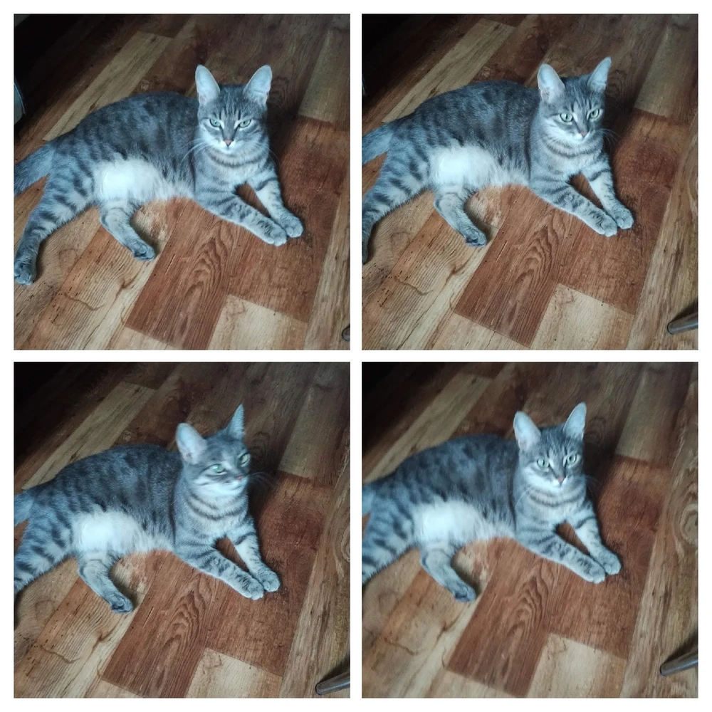 Фото загрузил Макс