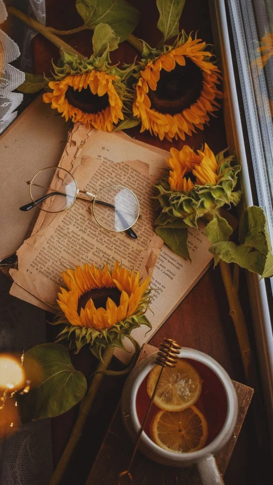 Фото загрузил Виктория