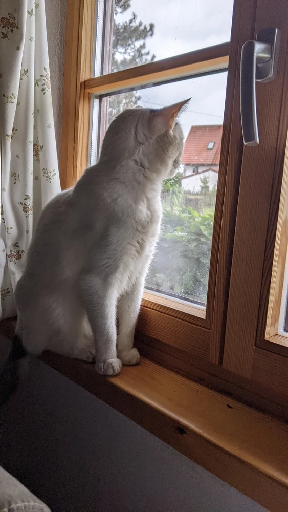 Bild hochgeladen von Lina 🛸