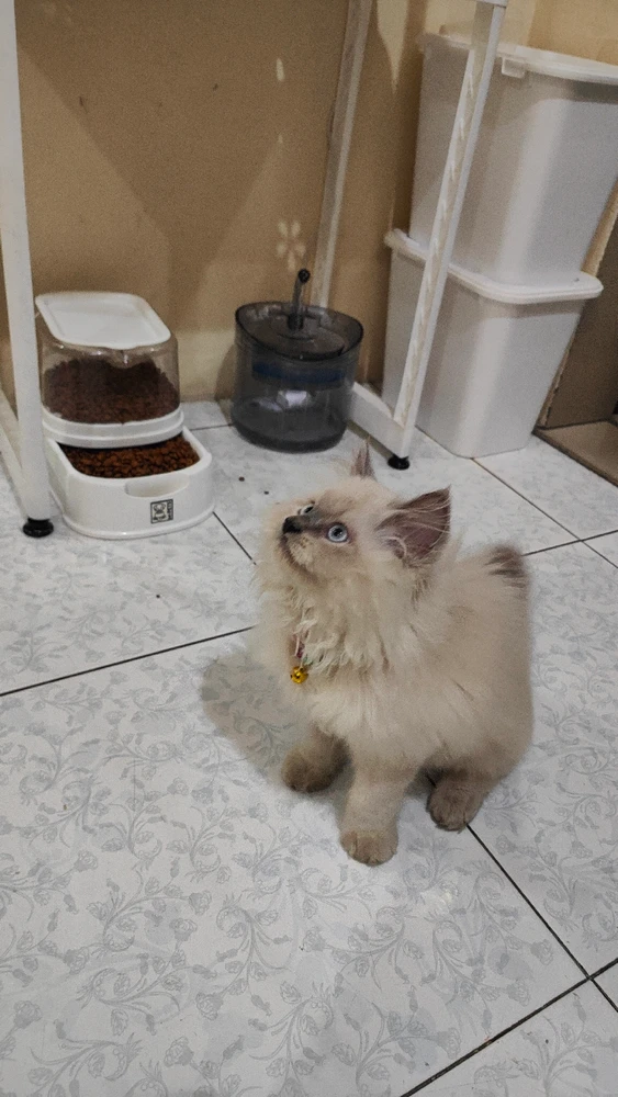 Image uploaded by Zie