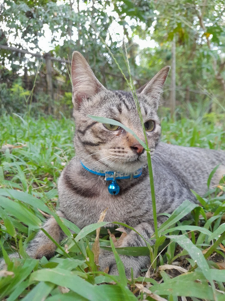 Image uploaded by Arya