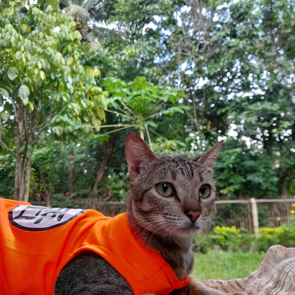 Image uploaded by Arya