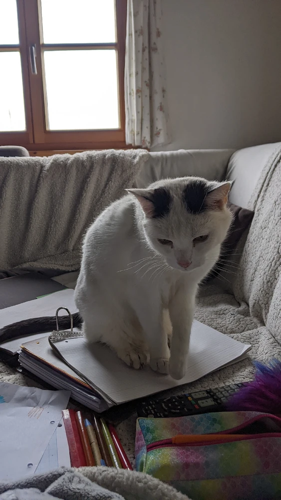 Bild hochgeladen von Lina 🛸