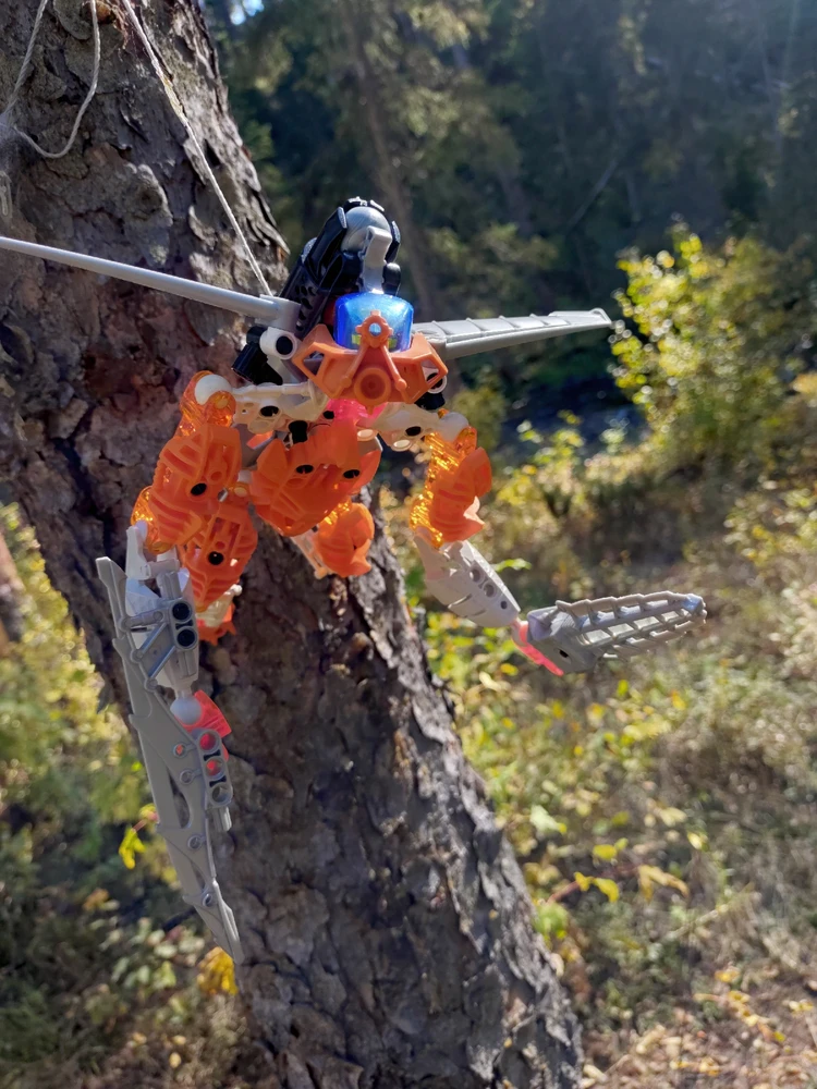 Image uploaded by John