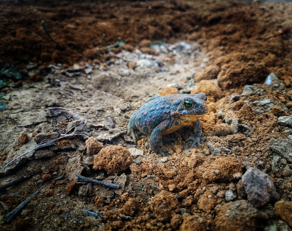 Фото загрузил Николай