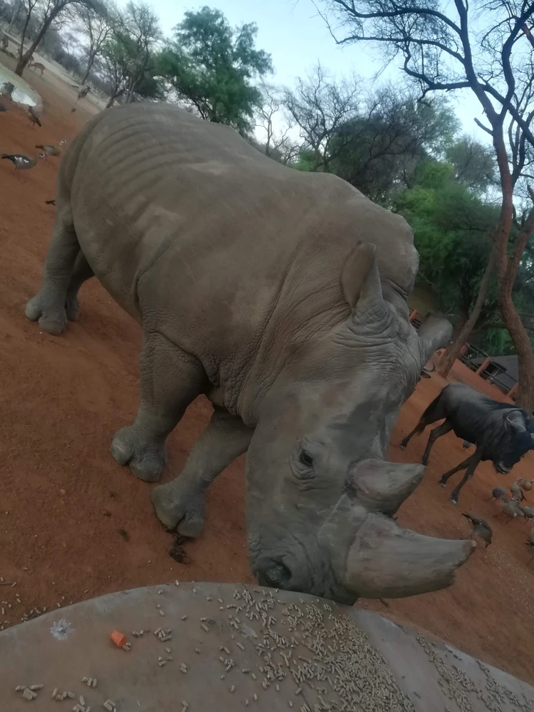 Image uploaded by Spongy