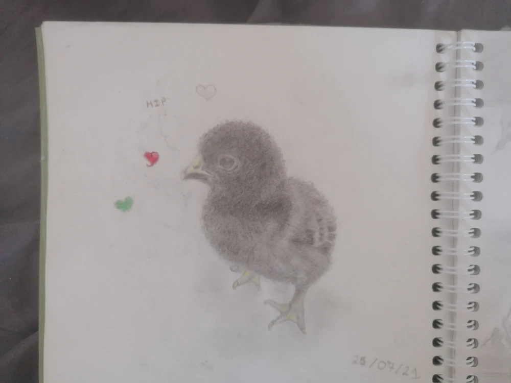 Image ajoutée par Audrey