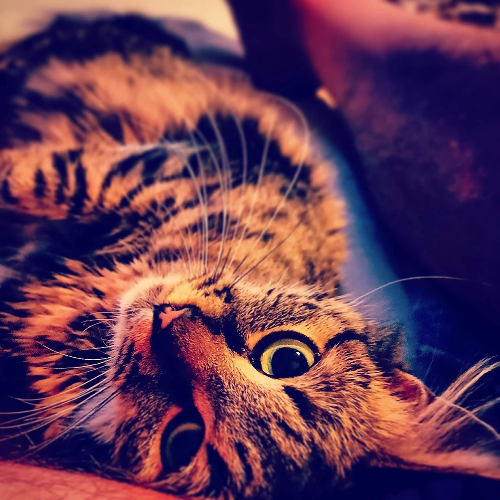 Фото загрузил Макс