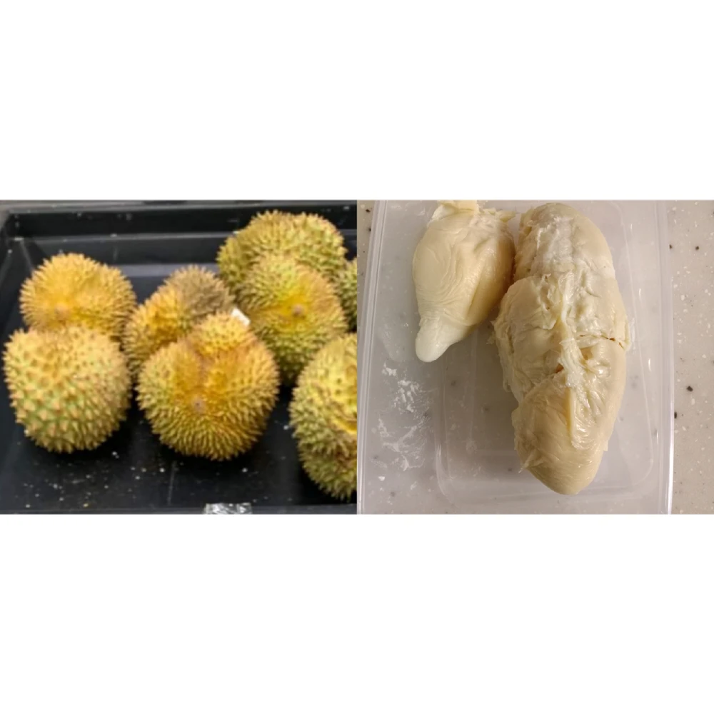 由Maya上传的图片