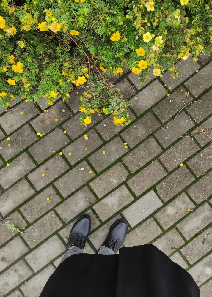 Фото загрузил Anastasia