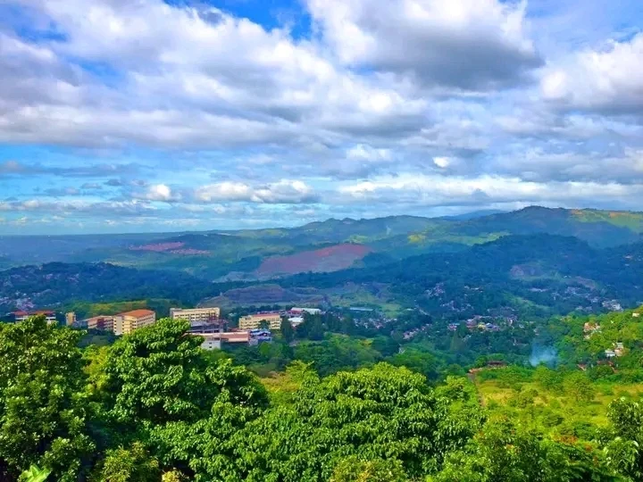 Image uploaded by kristin