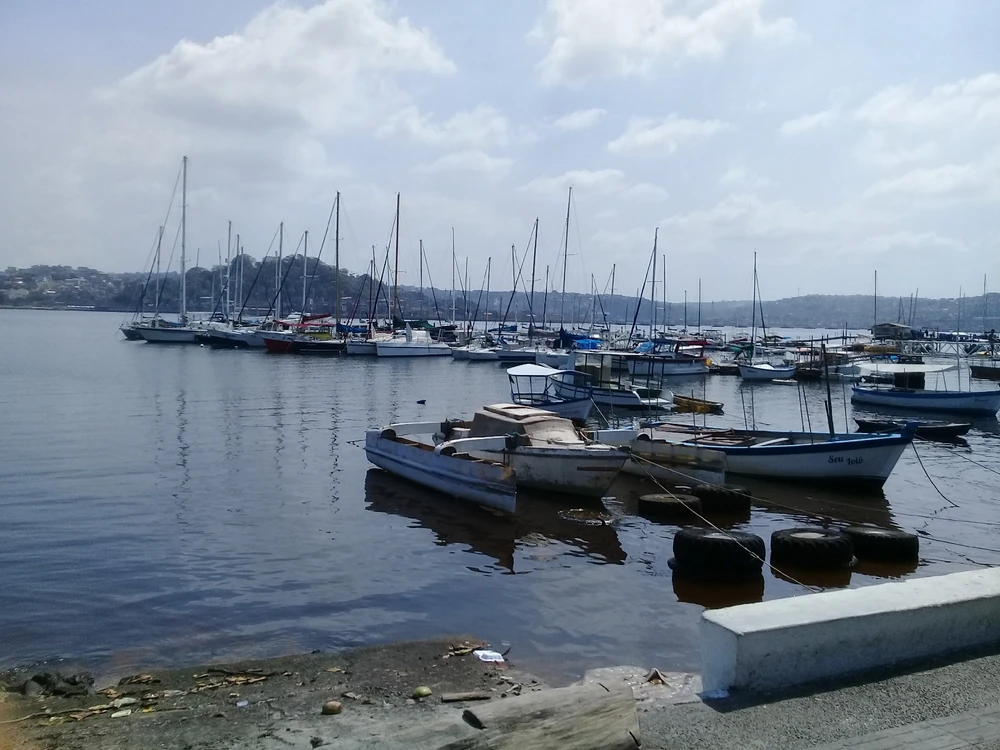 A nice morning outside