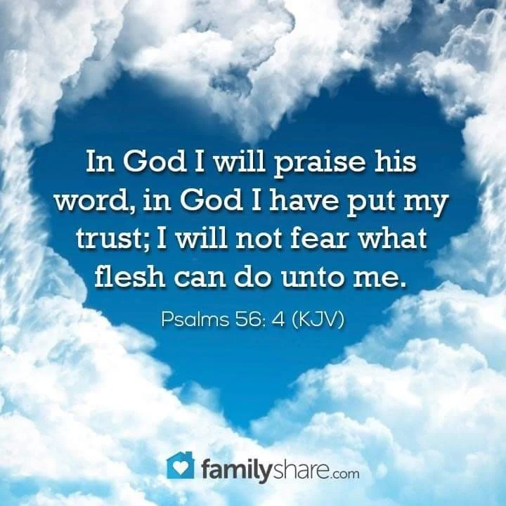 Image uploaded by Claramia