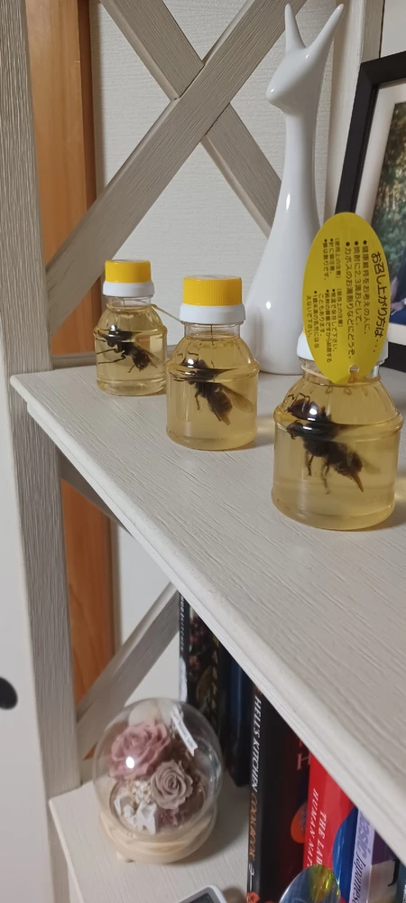 Image uploaded by Justin