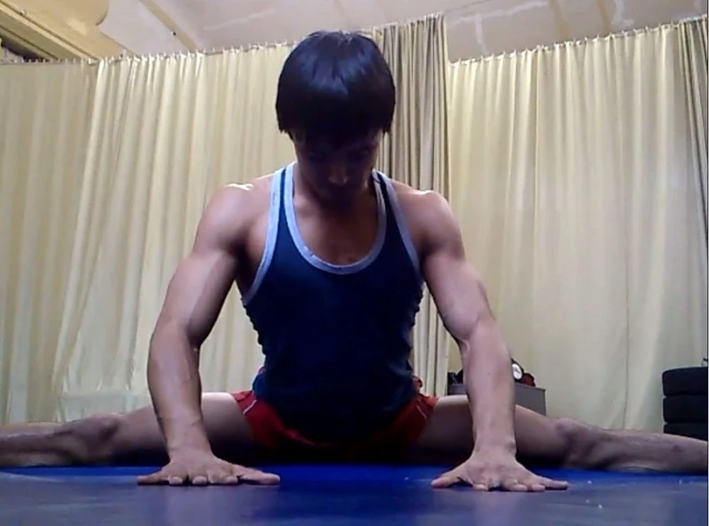 Мечтаю возобновить... кто со мной попробует покорить мир шпагатов? Неважно продольный или поперечный, важна лишь компания и систематика )