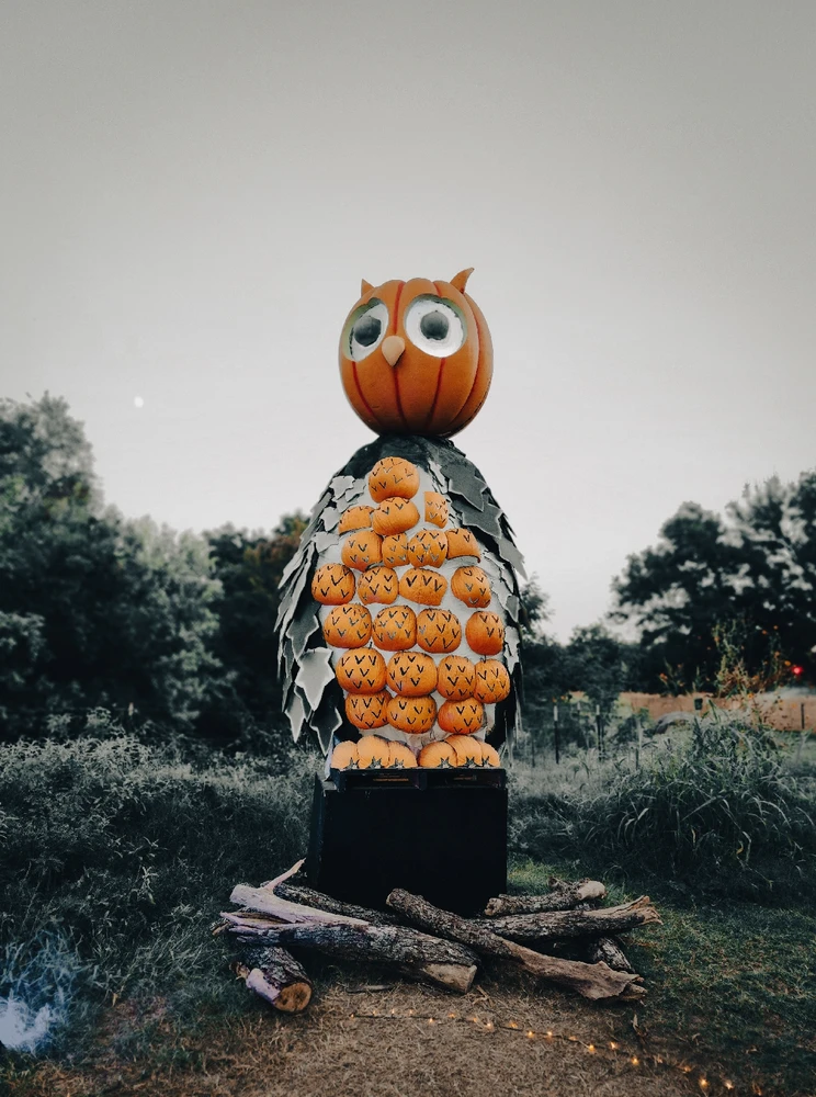 Image uploaded by Gabrielle