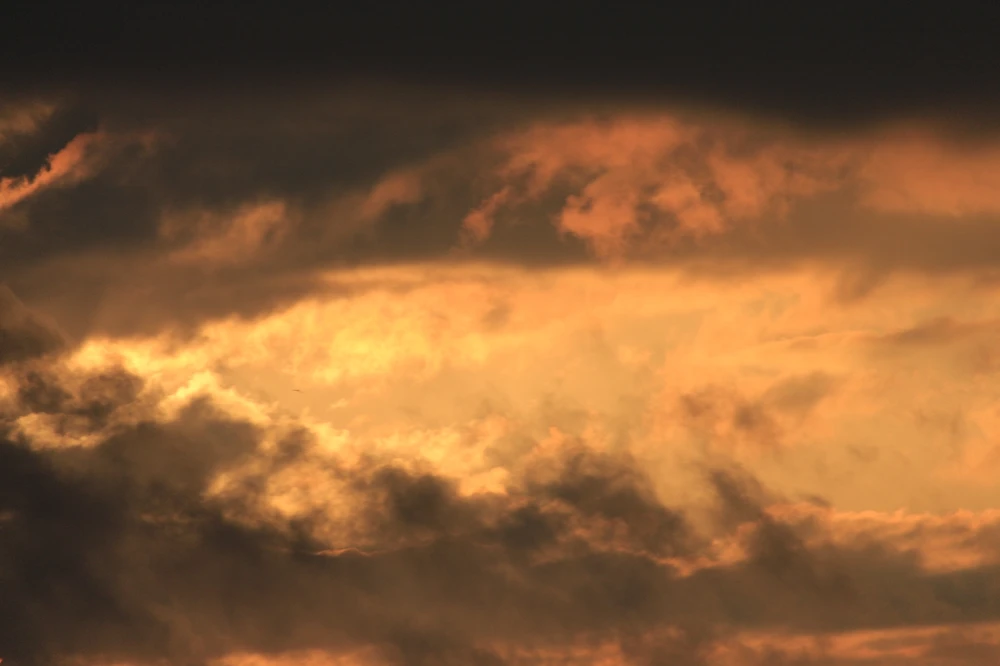 Фото загрузил Анастасия