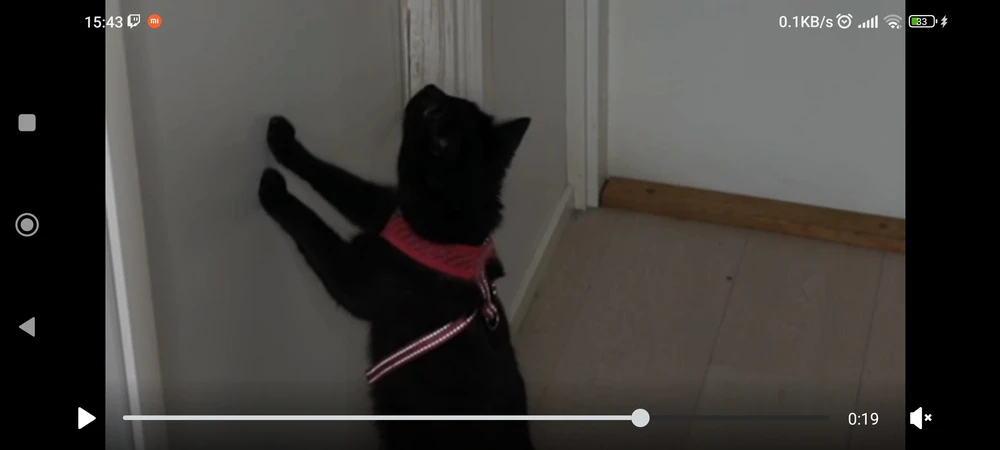 Recommend some good OST