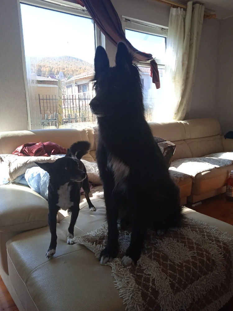 Фото загрузил Vladis