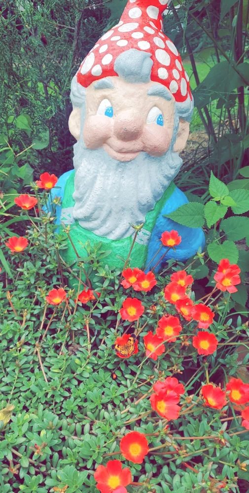 Image uploaded by Tori 🌺