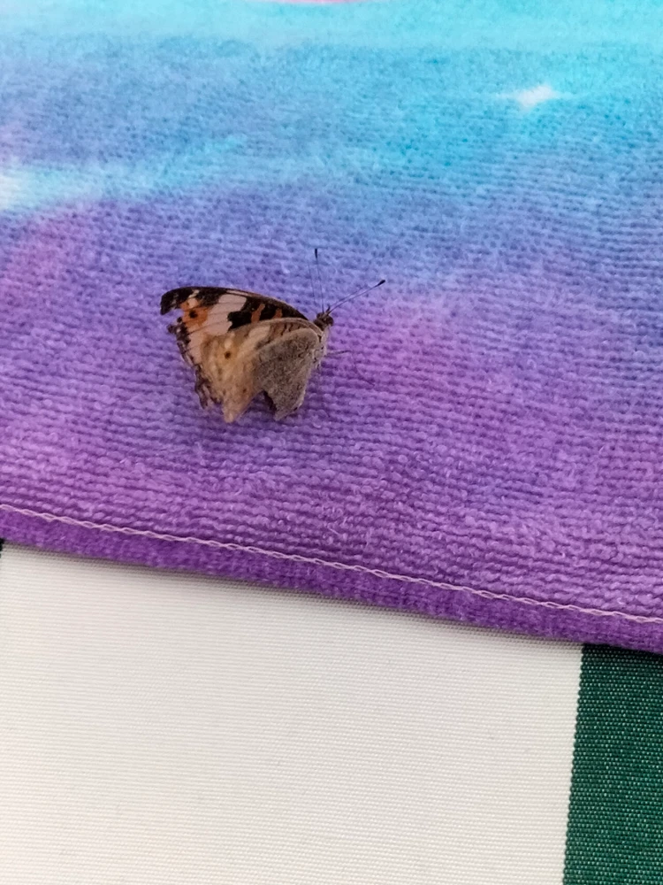 Image uploaded by Jeserie