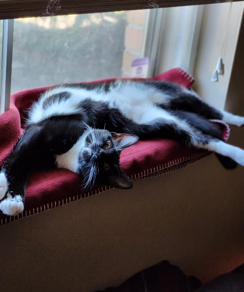 Image uploaded by Ben