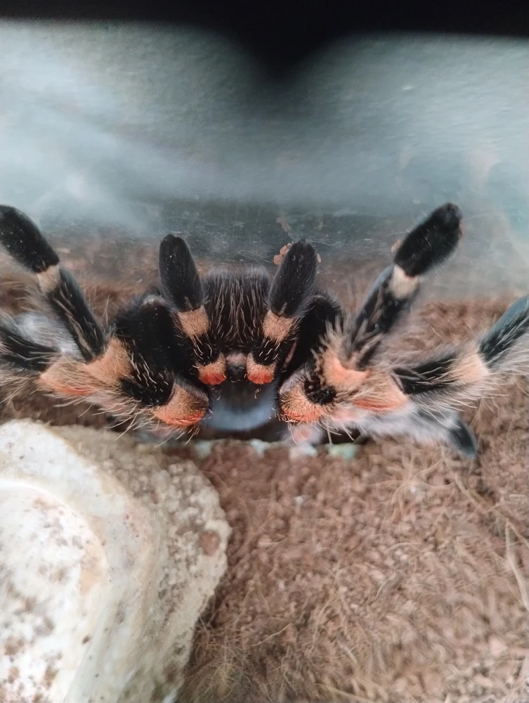 Image uploaded by Damien