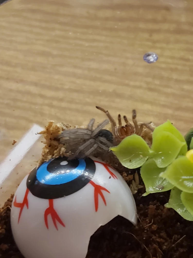 Image uploaded by Kathleen