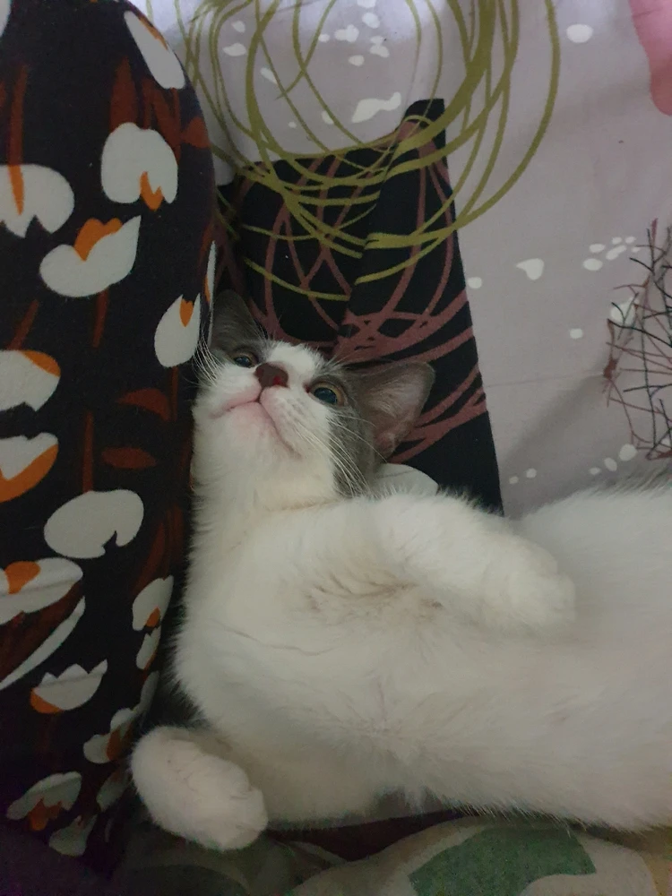 Image uploaded by Sarah