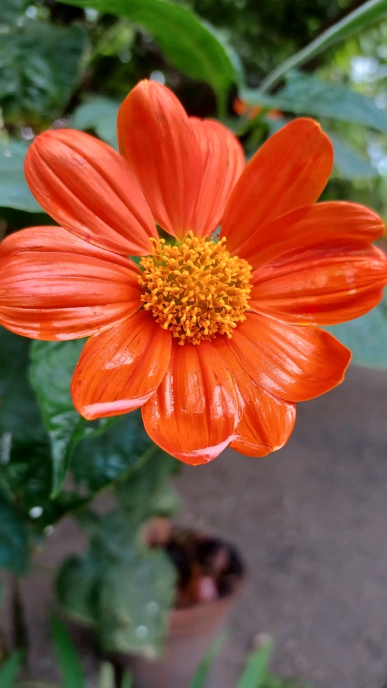 Image uploaded by rei