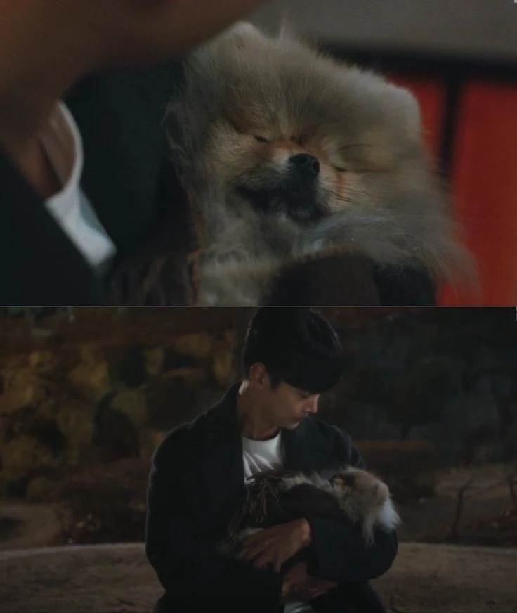 Image uploaded by Yurintzi