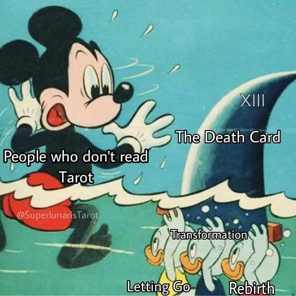 Image uploaded by Samantha