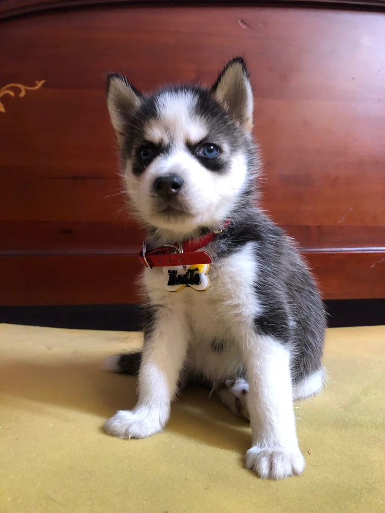 Imagen subida por Adriana Tulande