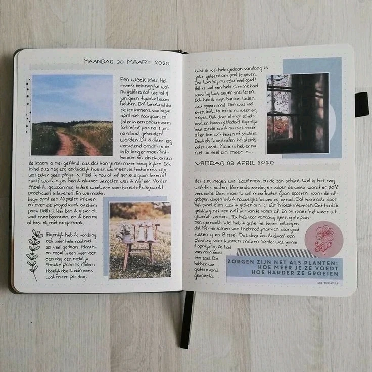 Imagen subida por Stephany