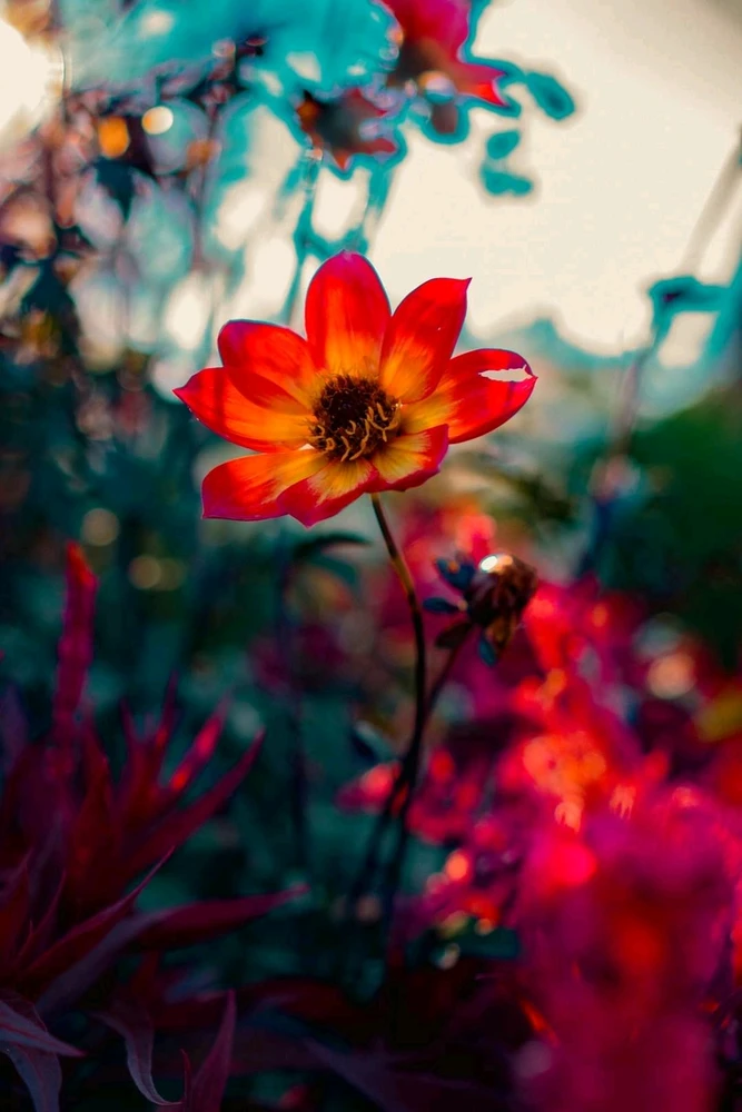 Image uploaded by Ren Averi