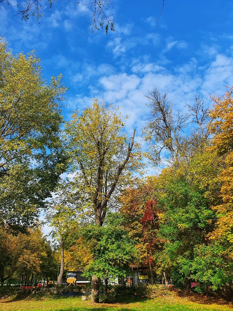 Фото загрузил Дарья