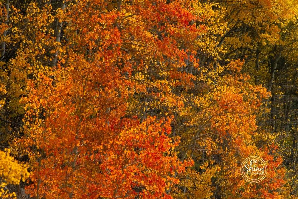 Image uploaded by Jonathan