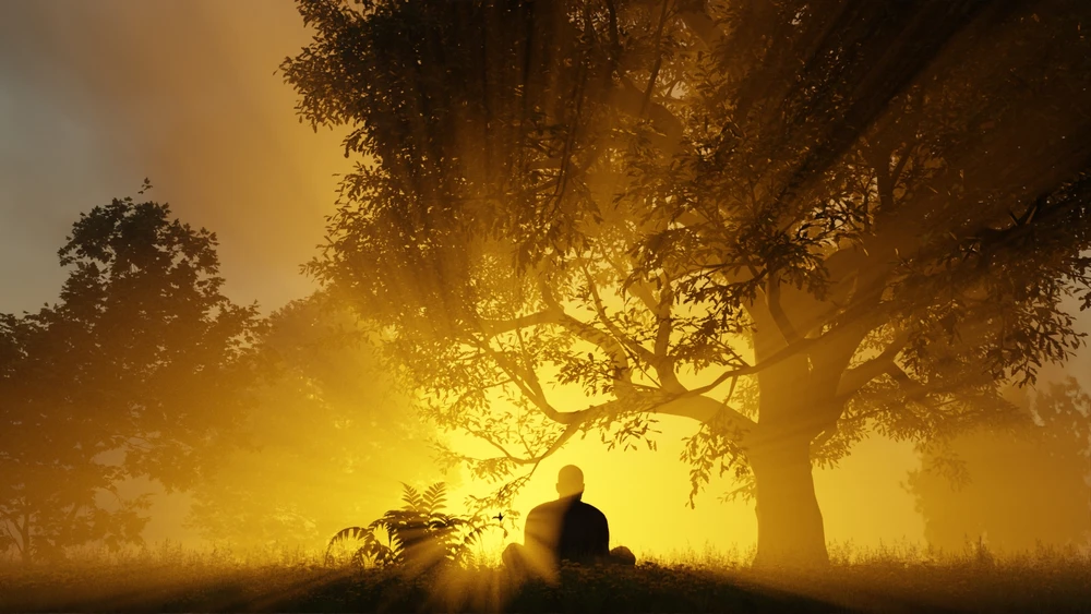 Bild hochgeladen von Jens