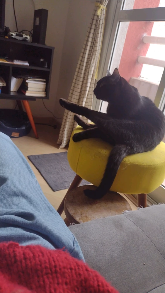 Image uploaded by Gabe