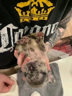 Image uploaded by Jay