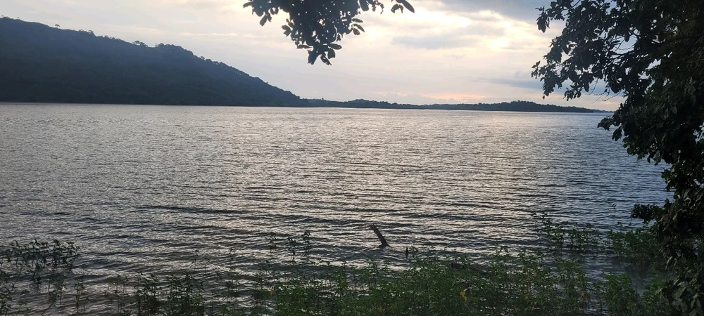 Image uploaded by Rajesh