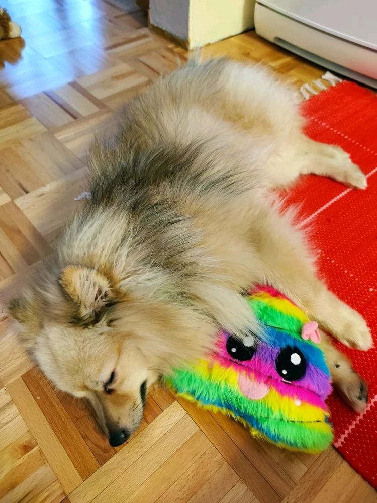Image uploaded by Alexander