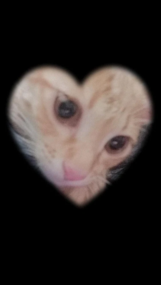 Gambar diunggah oleh Celine